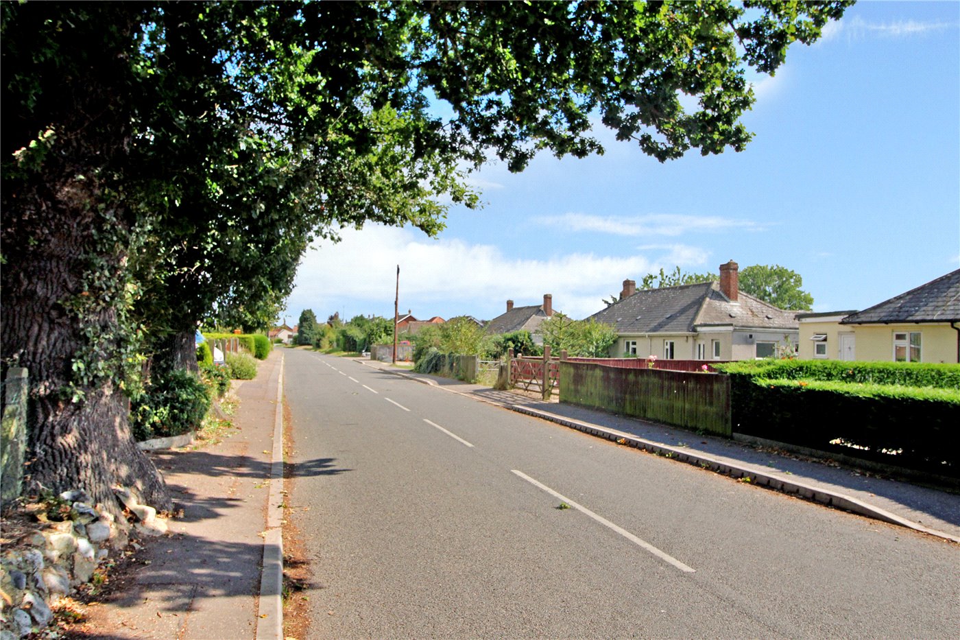 The Street
